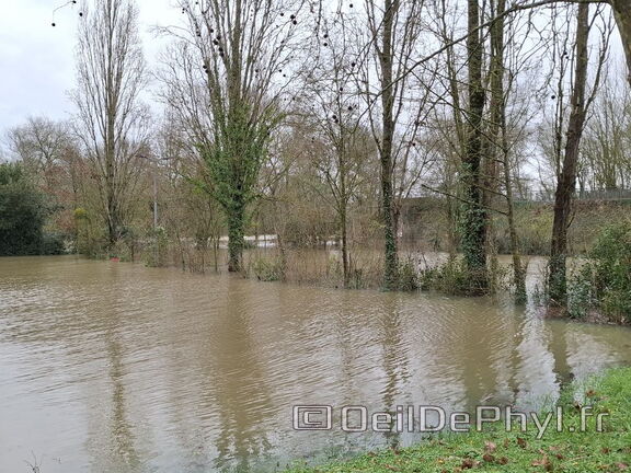 Le Loir - Rives du Loir en Anjou - Février 2026