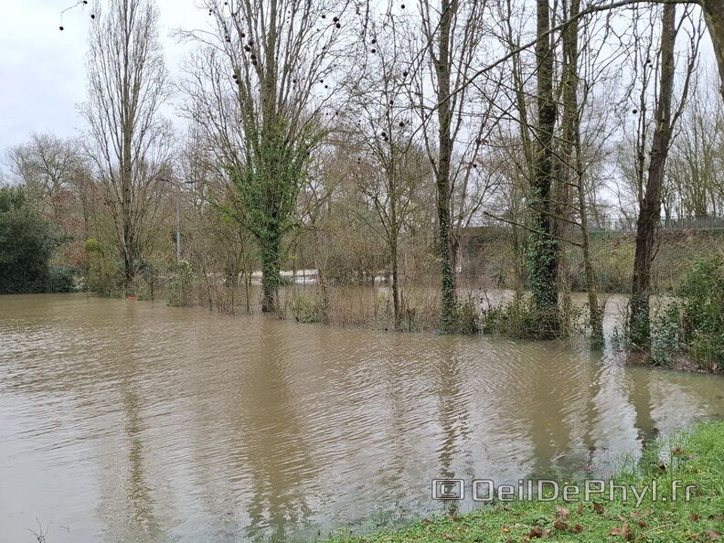 Le Loir - Rives du Loir en Anjou - Février 2026