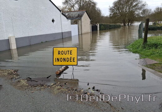 Le Loir - Rives du Loir en Anjou - Février 2026