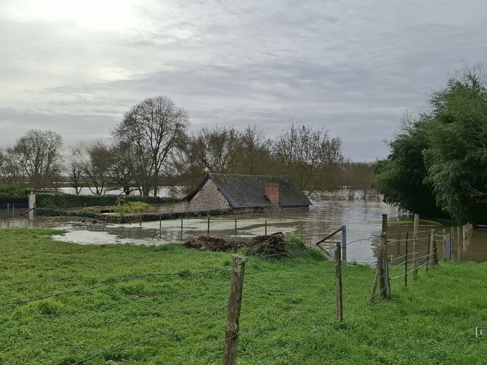 Le Loir - Rives du Loir en Anjou - Février 2026