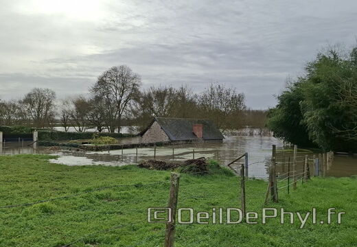 Le Loir - Rives du Loir en Anjou - Février 2026