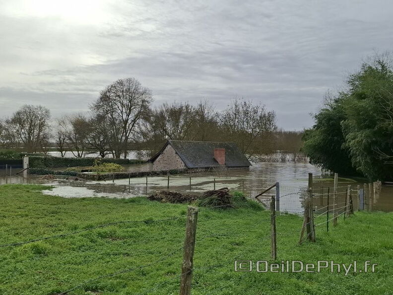 Le Loir - Rives du Loir en Anjou - Février 2026