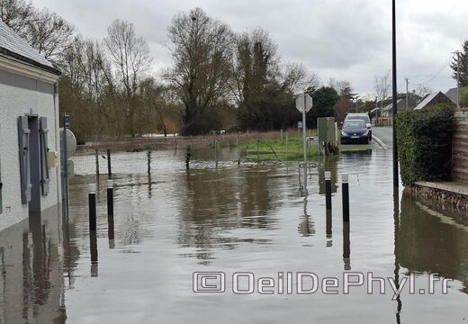 Le Loir - Rives du Loir en Anjou - Février 2026