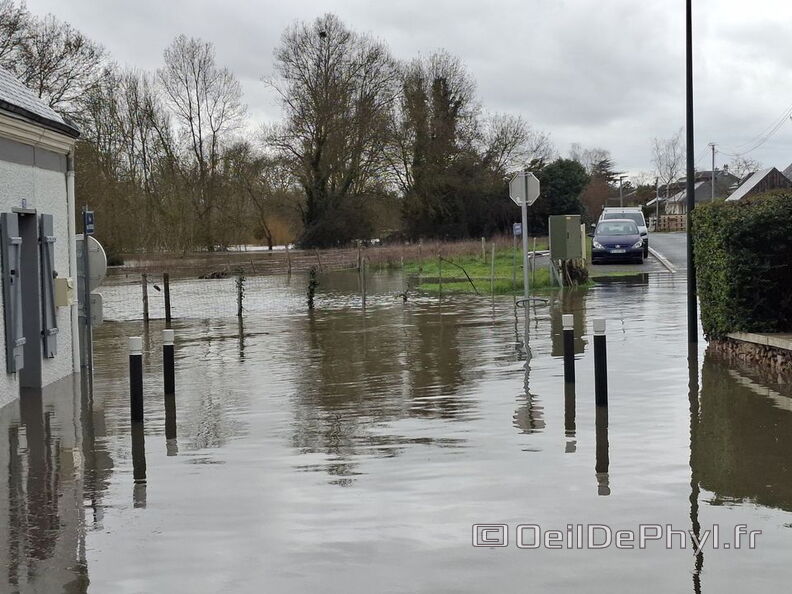 Le Loir - Rives du Loir en Anjou - Février 2026