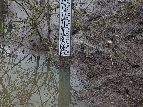 Le Loir - Rives du Loir en Anjou - Février 2026