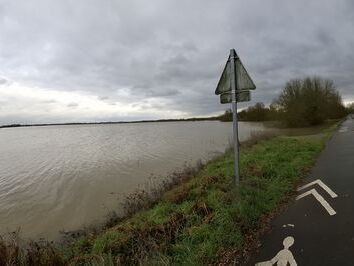 Le Loir - Rives du Loir en Anjou - Février 2026