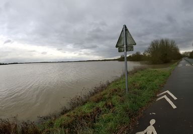 Le Loir - Rives du Loir en Anjou - Février 2026