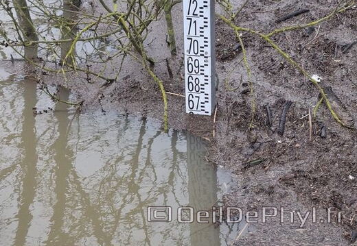 Le Loir - Rives du Loir en Anjou - Février 2026