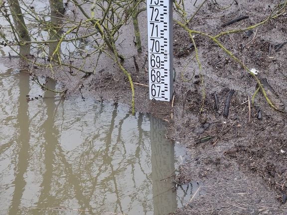 Le Loir - Rives du Loir en Anjou - Février 2026