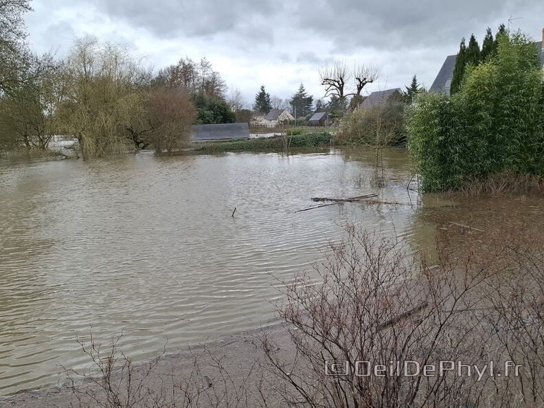 Le Loir - Rives du Loir en Anjou - Février 2026