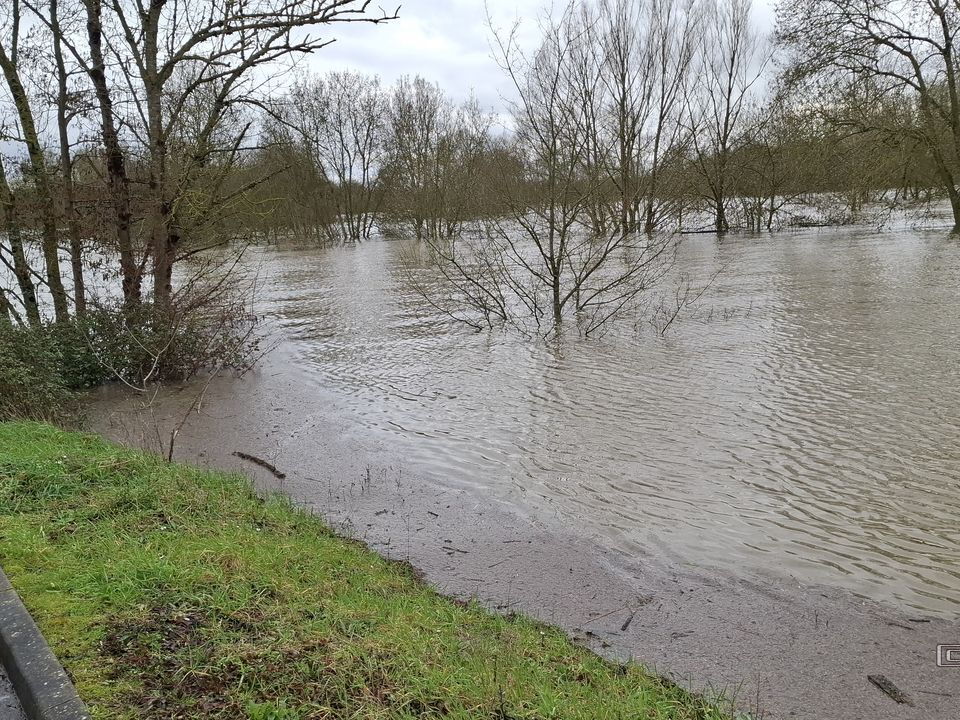 Le Loir - Rives du Loir en Anjou - Février 2026