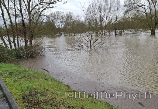 Le Loir - Rives du Loir en Anjou - Février 2026