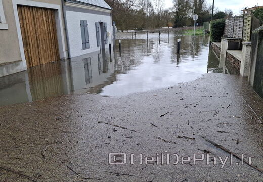 Le Loir - Rives du Loir en Anjou - Février 2026