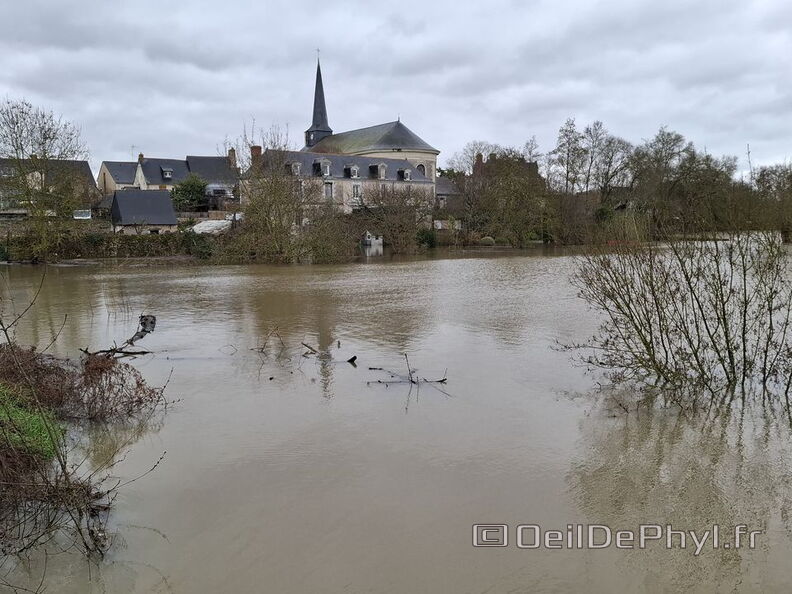 Le Loir - Rives du Loir en Anjou - Février 2026