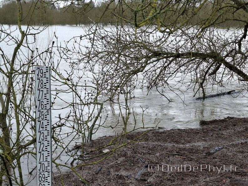 Le Loir - Rives du Loir en Anjou - Février 2026