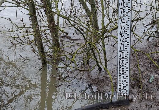 Le Loir - Rives du Loir en Anjou - Février 2026