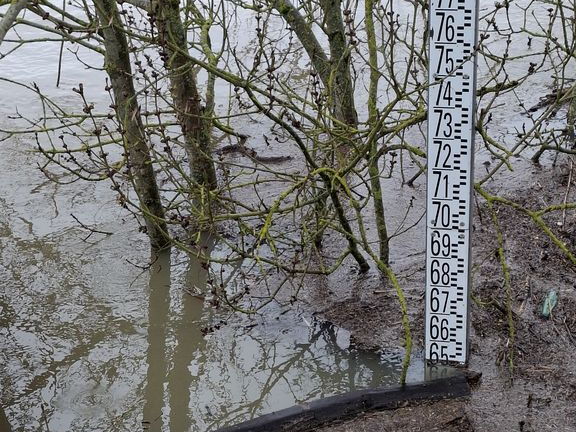 Le Loir - Rives du Loir en Anjou - Février 2026