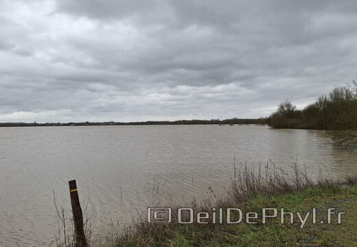 Le Loir - Rives du Loir en Anjou - Février 2026