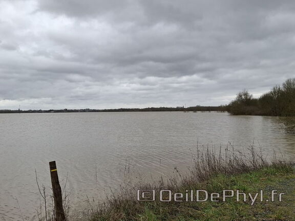 Le Loir - Rives du Loir en Anjou - Février 2026