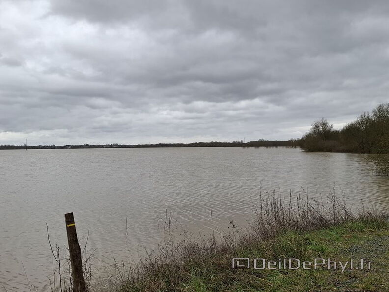 Le Loir - Rives du Loir en Anjou - Février 2026
