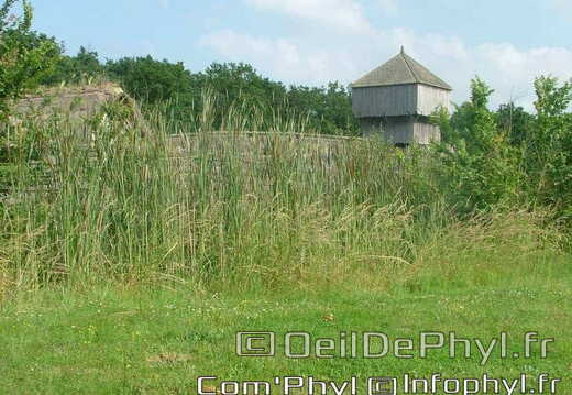 Château à motte - Saint Sylvain d'Anjou