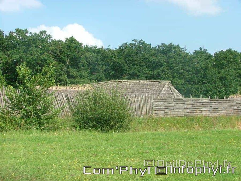 Château à motte - Saint Sylvain d'Anjou