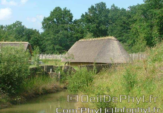 Château à motte - Saint Sylvain d'Anjou