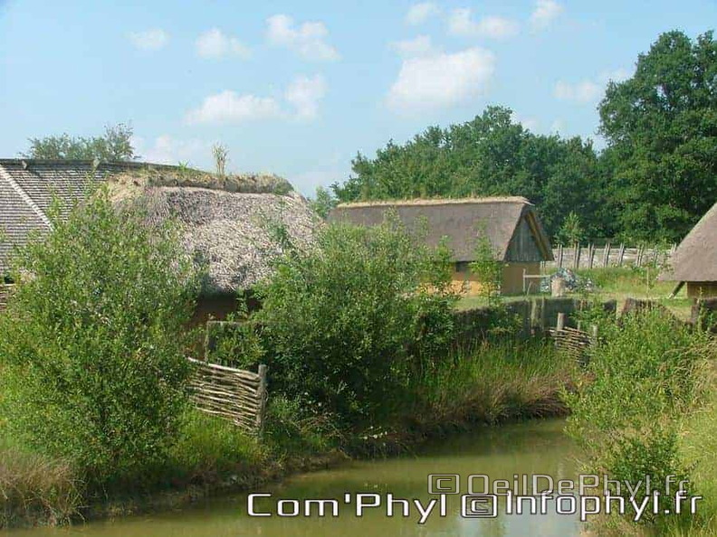 Château à motte - Saint Sylvain d'Anjou