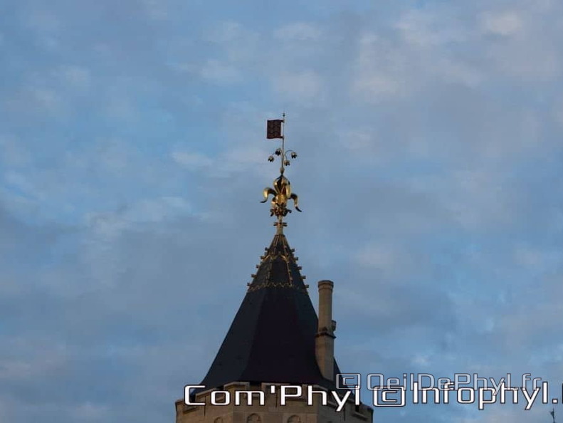 saumur-la-fleche-du-chateau-6