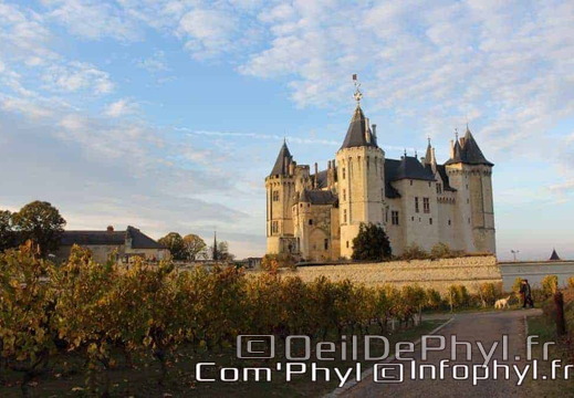 saumur-le-chateau-9