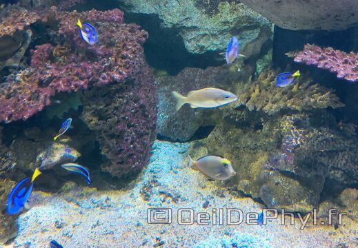 Aquarium-Croisic-20231007 135906-Odp-58