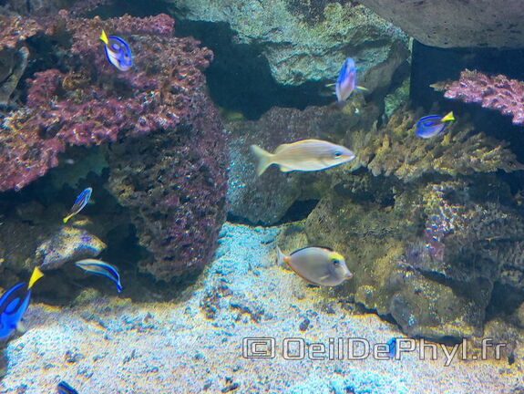 Aquarium-Croisic-20231007 135906-Odp-58