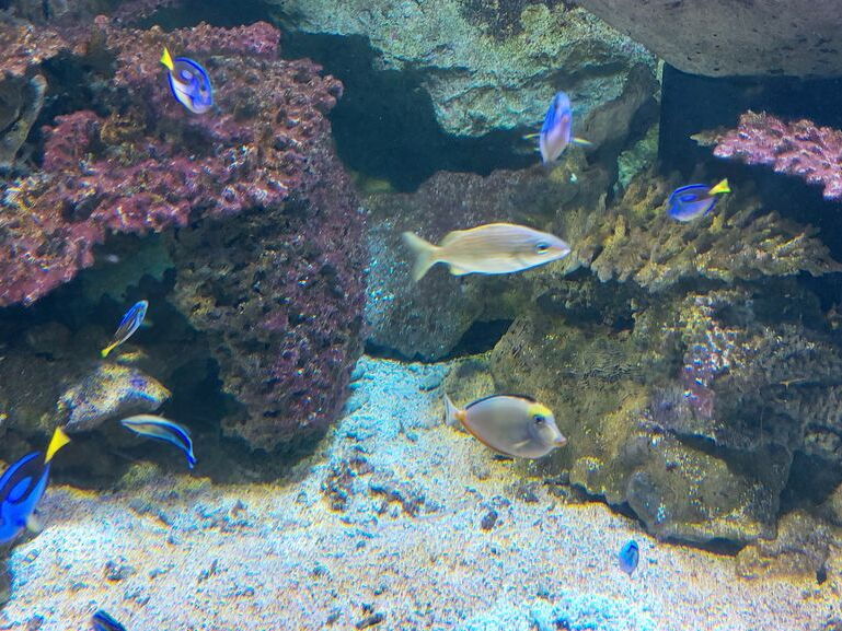 Aquarium-Croisic-20231007 135906-Odp-58