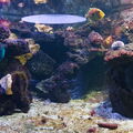 Aquarium du Croisic