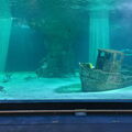 Aquarium du Croisic