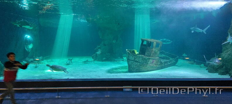 Aquarium-Croisic-20231007_144346-Odp-21.jpg