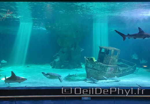 Aquarium du Croisic