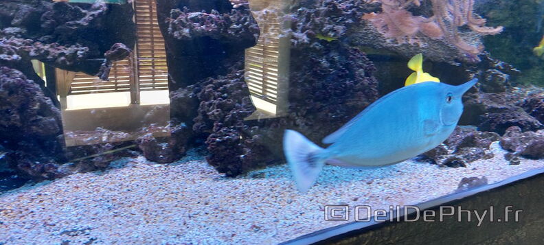 Aquarium-Croisic-20231007_140652-Odp-09.jpg