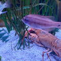 Aquarium-Croisic-20231007_134639-Odp-03.jpg