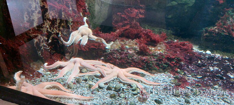 Aquarium-Croisic-20231007_135106-Odp-06.jpg