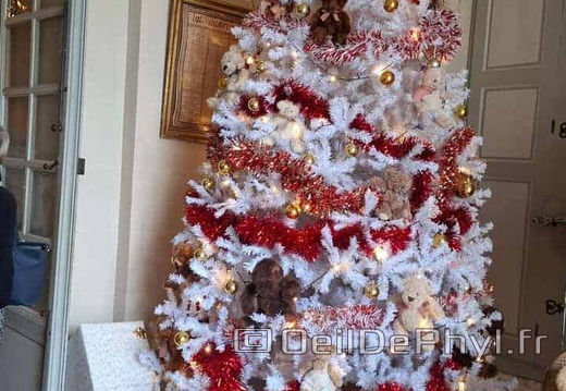 chateau-de-montgeoffroy-noel-2024-15