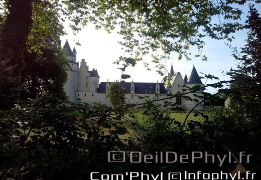 chateau-du-plessis-bourre-ecuille-13