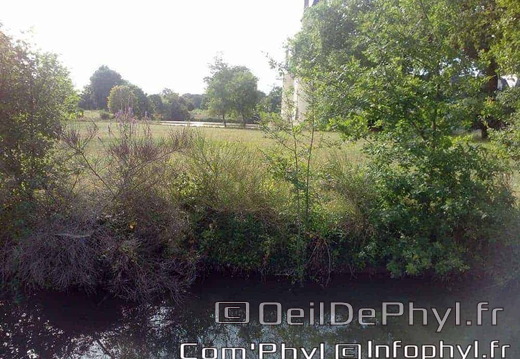 chateau-du-plessis-bourre-ecuille-2