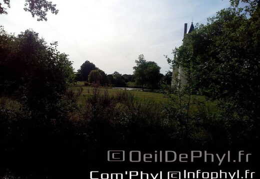 chateau-du-plessis-bourre-ecuille-3