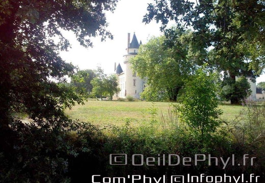 chateau-du-plessis-bourre-ecuille-5