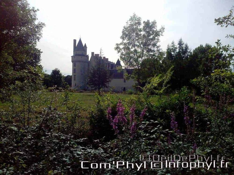 chateau-du-plessis-bourre-ecuille-9