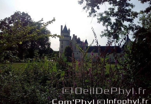 chateau-du-plessis-bourre-ecuille-8