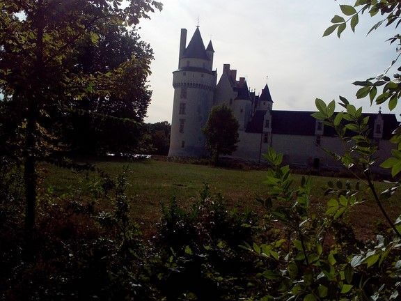 chateau-du-plessis-bourre-ecuille-11