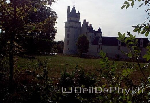 chateau-du-plessis-bourre-ecuille-11