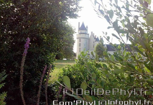 chateau-du-plessis-bourre-ecuille-12